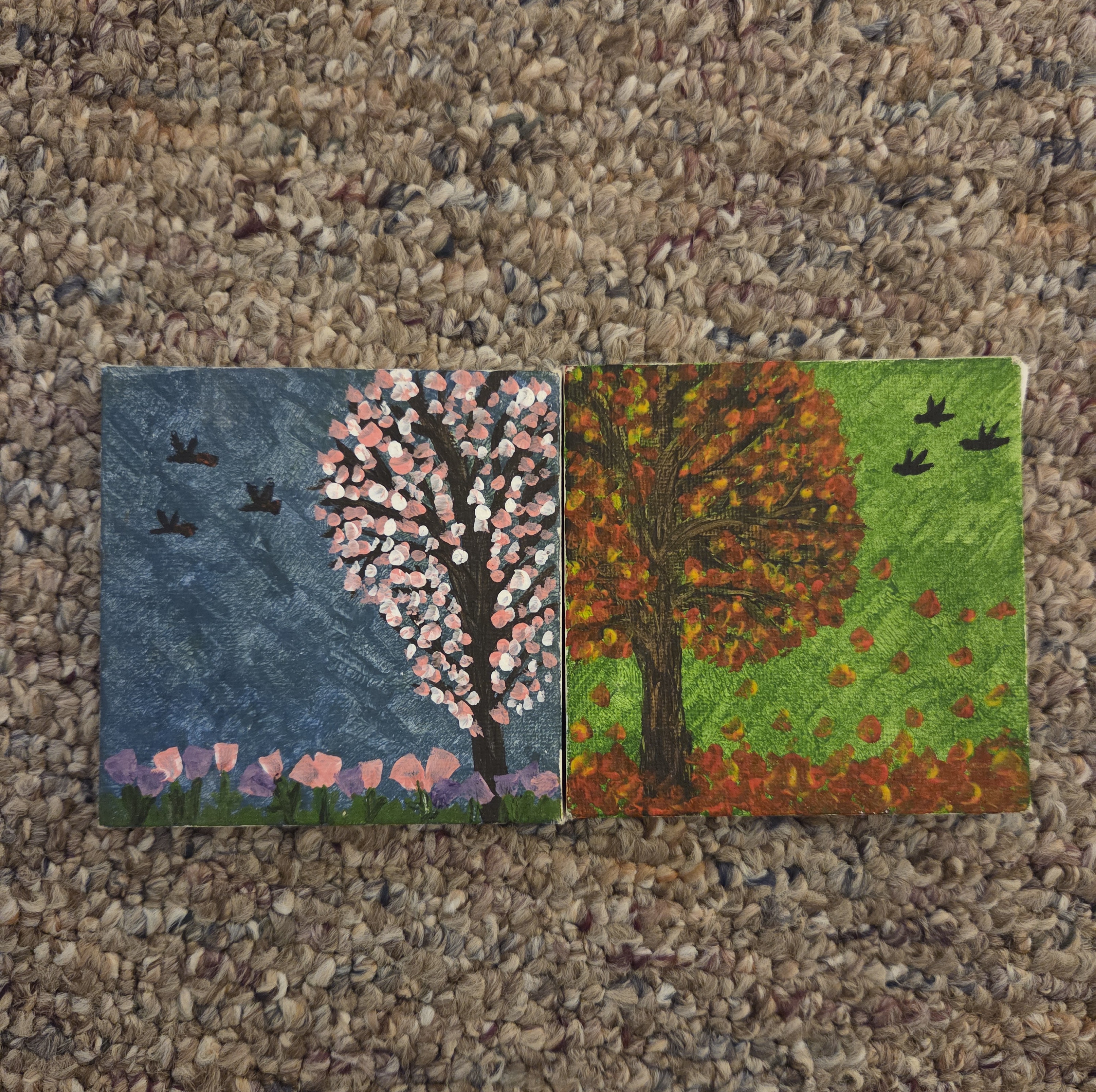 fall and spring
