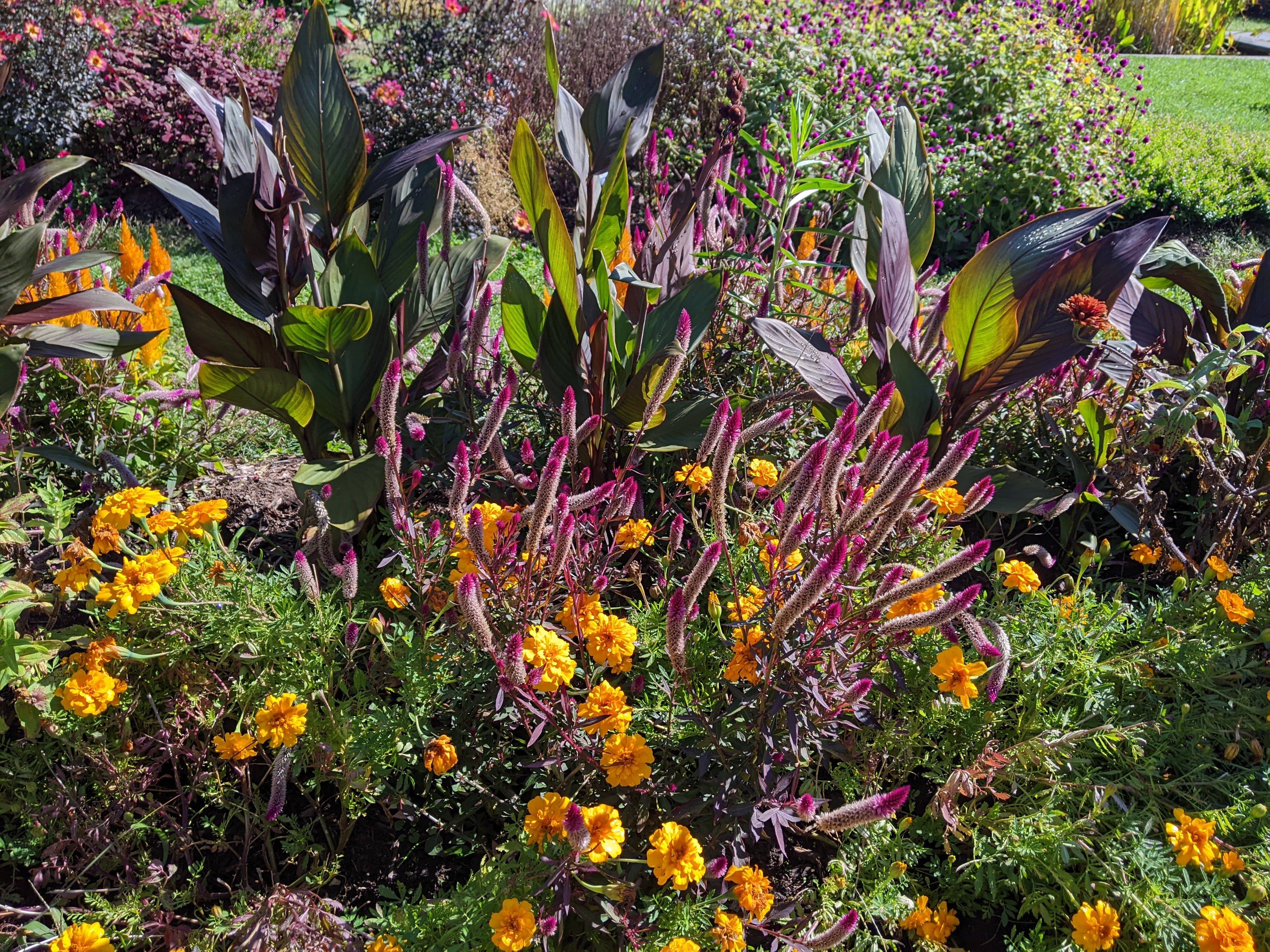 flowers